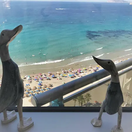 Vista Bella קלפה