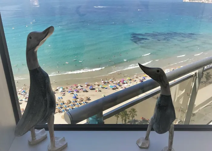 Vista Bella קלפה